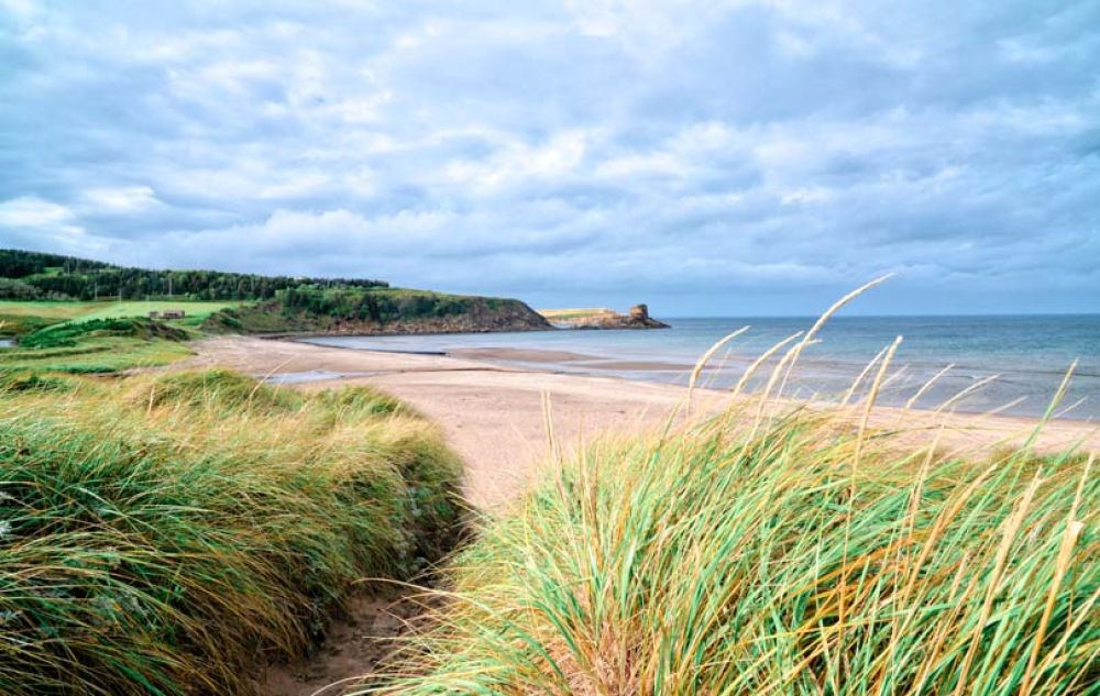 que faire au pays basque